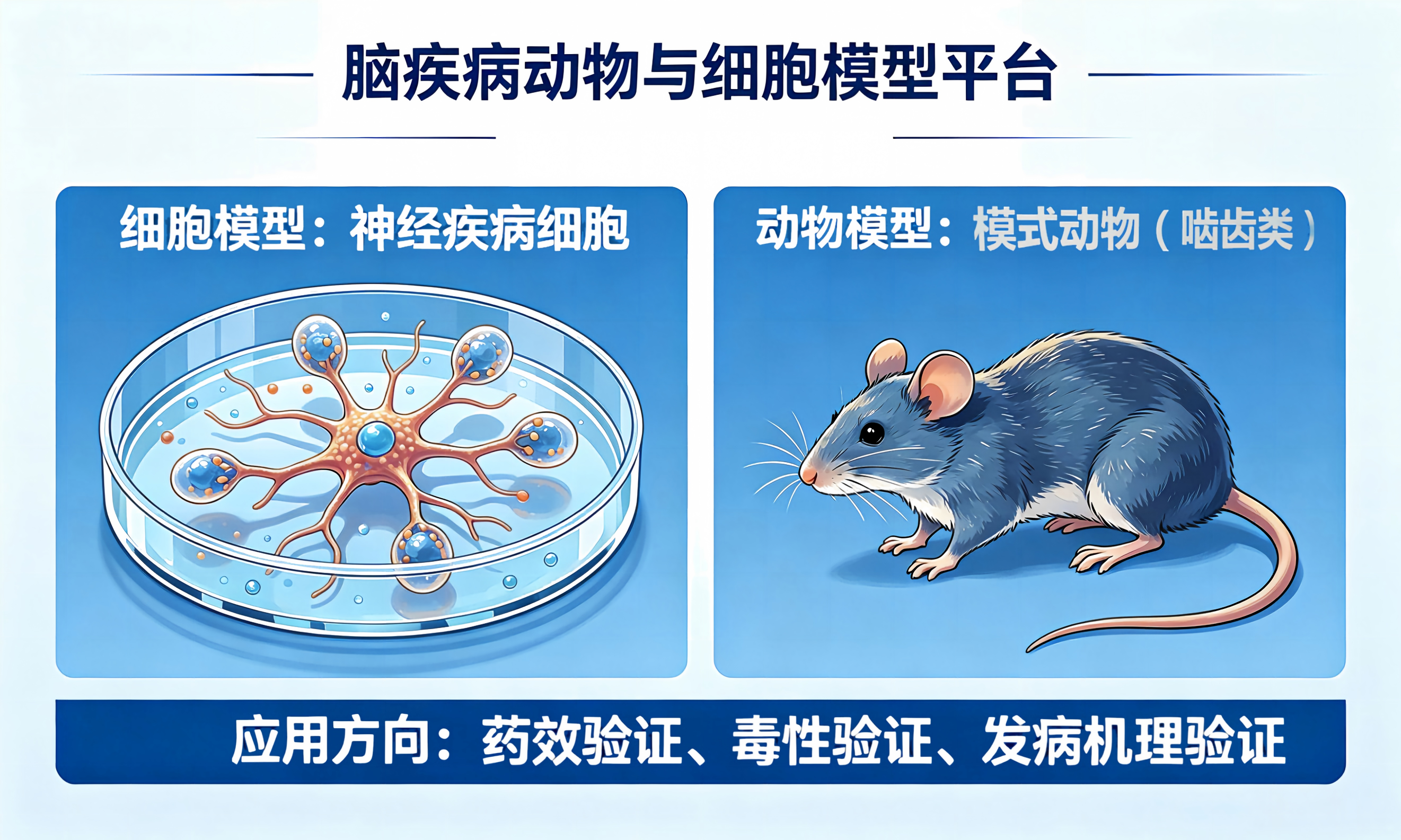 脑疾病的细胞、动物模型